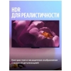 Вид 15